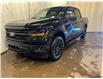 2025 Ford F-150 XLT (Stk: 25LT27) in St.Paul - Image 2 of 10