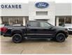 2025 Ford F-150 XLT (Stk: 25T820) in CRESTON - Image 9 of 24