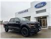 2025 Ford F-150 XLT (Stk: 25T820) in CRESTON - Image 1 of 24
