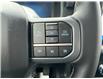 2025 Ford F-150 XLT (Stk: 25T820) in CRESTON - Image 20 of 24