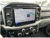 2024 Ford F-150 XLT (Stk: 57B1477) in Penticton - Image 13 of 19