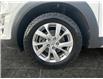 2019 Hyundai Tucson Preferred (Stk: XP342C) in Saskatoon - Image 15 of 15