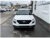 2023 Hyundai Venue Preferred (Stk: 250244) in Ottawa - Image 7 of 21