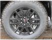 2025 GMC Sierra 1500 Elevation (Stk: 25413) in Orangeville - Image 9 of 32