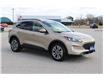 2021 Ford Escape SEL (Stk: U851) in Harrow - Image 3 of 13