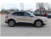 2021 Ford Escape SEL (Stk: U851) in Harrow - Image 4 of 13