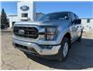 2023 Ford F-150 XLT (Stk: B00156) in Wilkie - Image 3 of 21