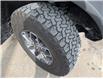 2023 Ford Bronco Badlands (Stk: 19151) in Calgary - Image 8 of 28