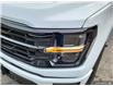 2025 Ford F-150 XLT (Stk: TS152) in Kamloops - Image 9 of 34