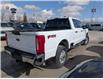 2023 Ford F-350 XLT (Stk: 90457) in Calgary - Image 5 of 23