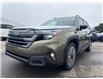 2025 Subaru Forester Limited (Stk: S25260) in Newmarket - Image 1 of 6