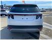 2025 Hyundai Tucson Plug-In Hybrid Ultimate (Stk: 80284) in Saskatoon - Image 7 of 31