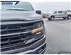 2025 Ford F-150 XLT (Stk: 26841) in Dartmouth - Image 8 of 24