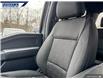 2025 Ford F-150 XLT (Stk: 26841) in Dartmouth - Image 19 of 24