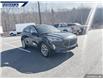 2021 Ford Escape Titanium (Stk: P5334) in Dartmouth - Image 6 of 24