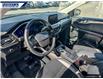 2021 Ford Escape Titanium (Stk: P5334) in Dartmouth - Image 12 of 24