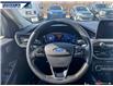 2021 Ford Escape Titanium (Stk: P5334) in Dartmouth - Image 13 of 24