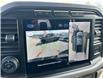 2024 Ford F-150 XLT (Stk: 57B1476) in Penticton - Image 14 of 20