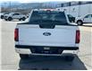 2024 Ford F-150 XLT (Stk: 57B1476) in Penticton - Image 6 of 20