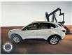2025 Ford Escape Active (Stk: 25DSP003) in Drayton Valley - Image 4 of 13