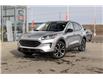 2022 Ford Escape SE (Stk: B8816) in Calgary - Image 2 of 38