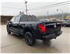 2025 Ford F-150 XLT (Stk: 25T821) in CRESTON - Image 5 of 26