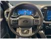 2025 Ford F-150 XLT (Stk: S9604) in ROSETOWN - Image 14 of 17
