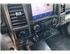 2020 Ford F-150 XLT (Stk: 20A0058) in Sherwood Park - Image 15 of 30