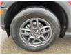 2025 Ford Bronco Sport Big Bend (Stk: VFBS00348) in Chatham - Image 7 of 17
