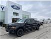 2025 Ford F-150 XLT (Stk: VF1F00419) in Chatham - Image 1 of 19
