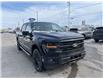 2025 Ford F-150 XLT (Stk: VF1F00392) in Chatham - Image 5 of 20