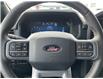 2025 Ford F-150 XLT (Stk: VF1F00392) in Chatham - Image 13 of 20