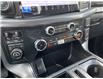 2025 Ford F-150 XLT (Stk: VF1F00392) in Chatham - Image 15 of 20