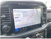 2025 Ford F-150 XLT (Stk: VF1F00392) in Chatham - Image 16 of 20