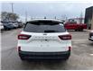 2025 Ford Escape ST-Line (Stk: VFEP00564) in Chatham - Image 3 of 20