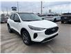 2025 Ford Escape ST-Line (Stk: VFEP00564) in Chatham - Image 5 of 20