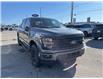 2025 Ford F-150 XLT (Stk: VF1F00697) in Chatham - Image 5 of 19