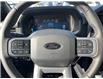 2025 Ford F-150 XLT (Stk: VF1F00697) in Chatham - Image 14 of 19