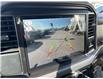 2025 Ford F-150 XLT (Stk: VF1F00697) in Chatham - Image 18 of 19