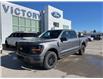 2025 Ford F-150 XLT (Stk: VF1F00697) in Chatham - Image 19 of 19