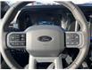 2025 Ford F-150 Lariat (Stk: VF1F00567) in Chatham - Image 16 of 24