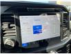 2025 Ford F-150 Lariat (Stk: VF1F00567) in Chatham - Image 20 of 24
