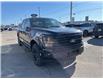 2025 Ford F-150 XLT (Stk: VF1F00677) in Chatham - Image 5 of 20