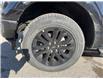 2025 Ford F-150 XLT (Stk: VF1F00677) in Chatham - Image 7 of 20