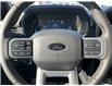 2025 Ford F-150 XLT (Stk: VF1F00677) in Chatham - Image 14 of 20