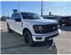 2025 Ford F-150 XLT (Stk: VF1F00676) in Chatham - Image 5 of 21