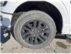 2025 Ford F-150 XLT (Stk: VF1F00676) in Chatham - Image 7 of 21