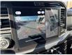 2025 Ford F-150 XLT (Stk: VF1F00676) in Chatham - Image 20 of 21