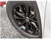 2025 Honda CR-V Hybrid EX-L (Stk: 372720) in Ottawa - Image 7 of 22