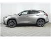 2025 Lexus NX 350  (Stk: 14109521) in Markham - Image 4 of 11